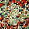 Детский ковер Кристэл 2719 multicolor